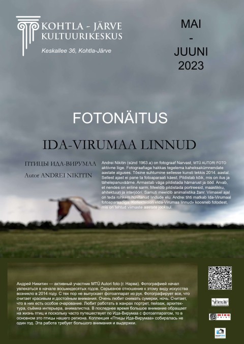 Фотовыставка Андрея Никитина "Птицы"